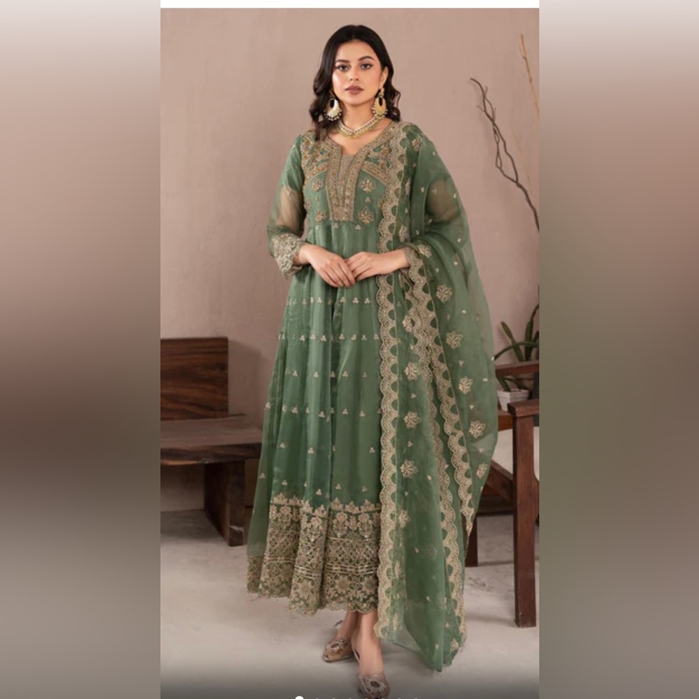 Pakistani/ Indian Dress